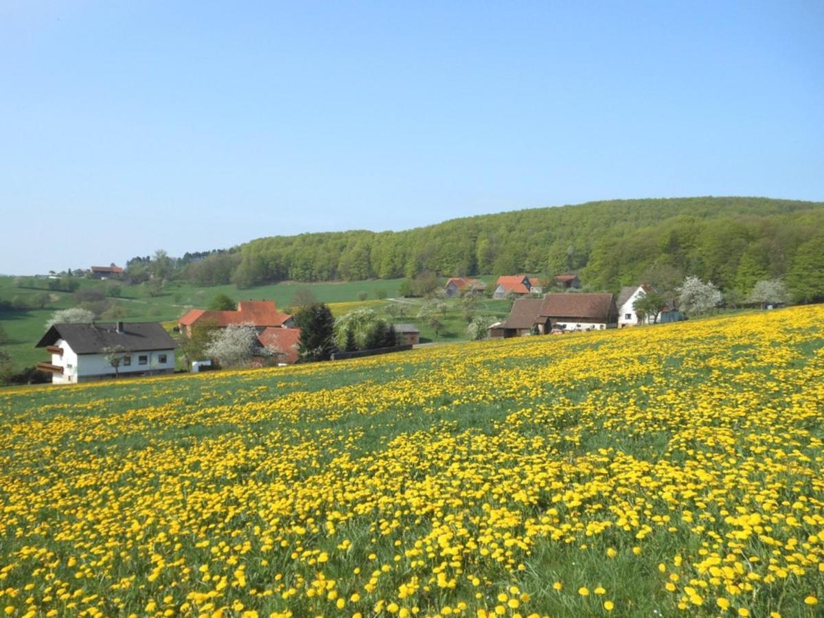 Ferienwohnung Oettersbach Poppenhausen Eksteriør bilde